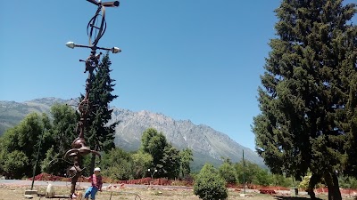 Photos of Al Alba