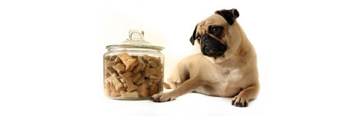 Goofy Pets - Thumbnail