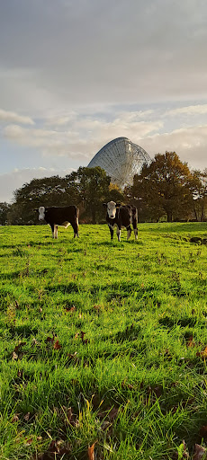 Jodrell Bank Observatory Control Building - Thumbnail