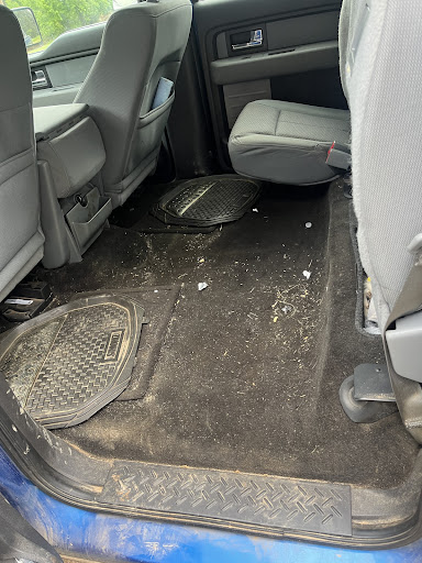 Dodson detailing - Visual
