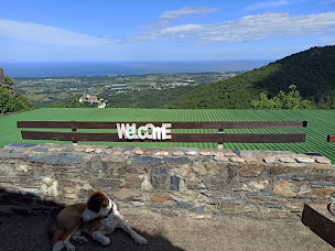 Photo n°31 de A Teppa - Pizzas - Salades - Grillades à Penta-di-Casinca (Diner)