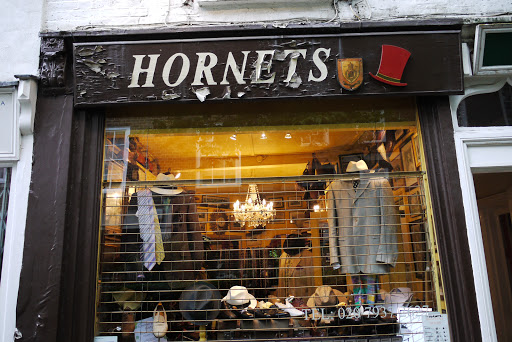 Hornets - Visual
