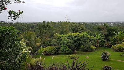 Photos of Sunrise Garden Self Catering Apartments