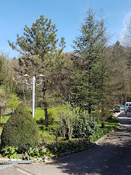 Photo n°1 de Supersol à Saint-Genis-les-Ollières (Service de pose de parquet)