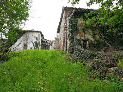 il Doccio - Visual