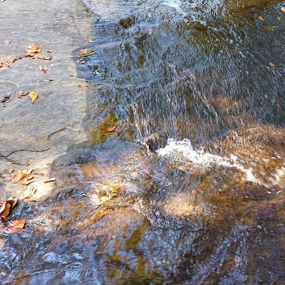 Dearborn Park Wildlife Preserve