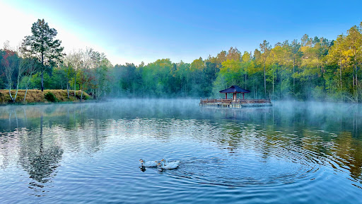 Lien Tri Monastery - Visual