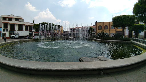 Municipio de Metepec - Thumbnail