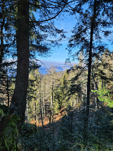 Baraque de Boulac - Thumbnail