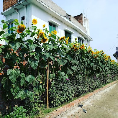 Photos of Hotel Shamol Bangla