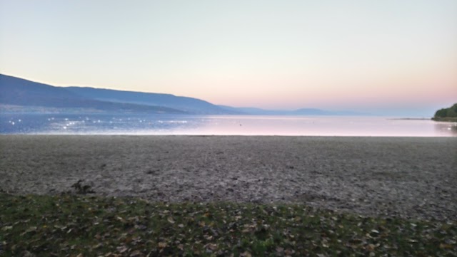 Plage des Pins
