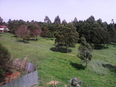 Photos of Ngeria