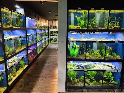 The Reef Aquarium Shop