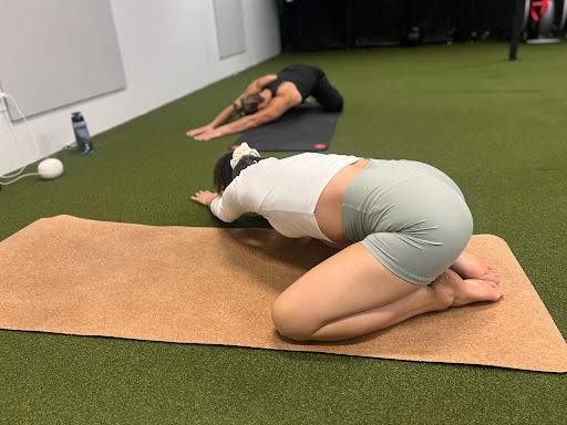 MS Fitness