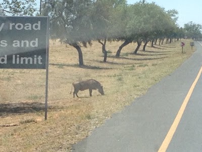 Photos of Jwana Game Park