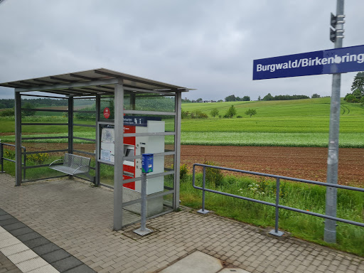 Birkenbringhausen - Thumbnail
