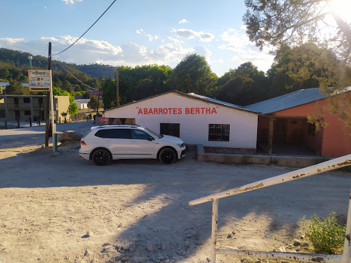 Abarrotes Bertha - Mexico