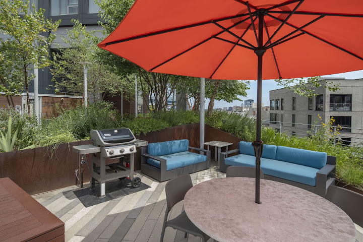 Bridge on Race by null