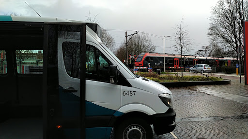 Boskoop Snijdelwijk - Thumbnail