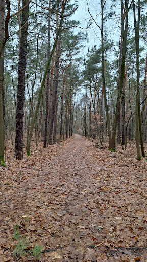 Tor zur Glücksburger Heide - Thumbnail