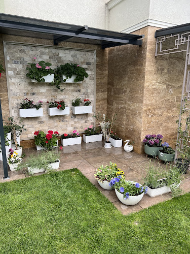 Русе Център, ул. „Васил Петлешков“ 27, 7002 Русе