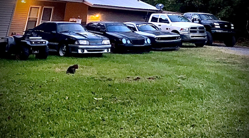 Stigalls Performance LLC