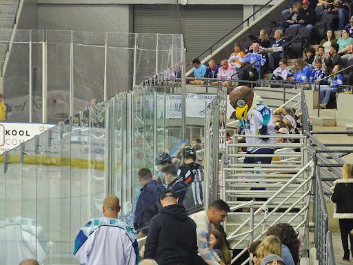 Pensacola Ice Flyers Gallery - United States