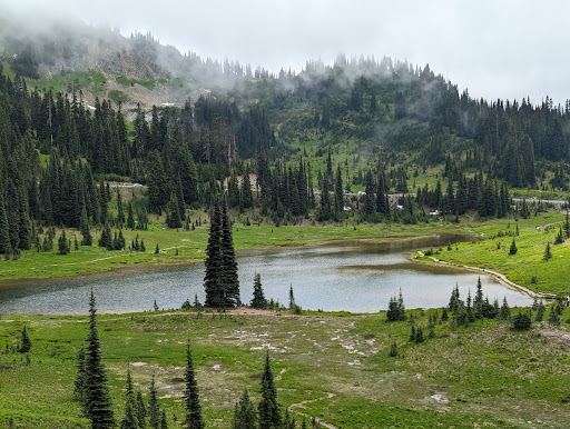 Naches Peak Loop Trail parking - Thumbnail