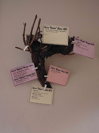 Menu Chez Dionysos Page 18