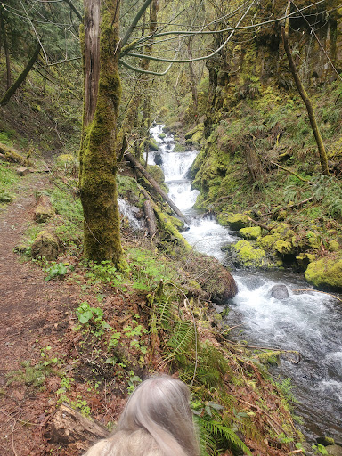 Wyeth Campground - Visual
