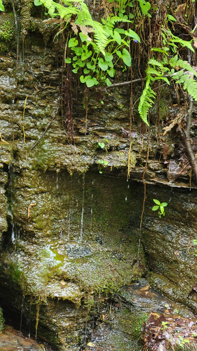 Jefferson National Forest