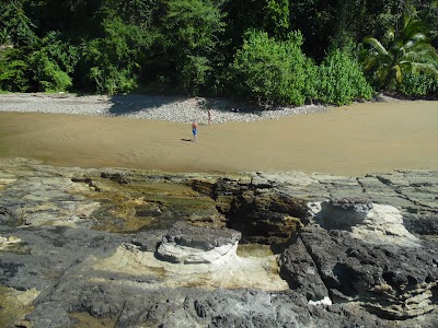 Photos of Playa Ballena