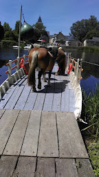 Photo n°4 de Camping Municipal du Bac à Ménil (Chalet)
