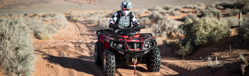 Love Power Equipment and Rental - Thumbnail