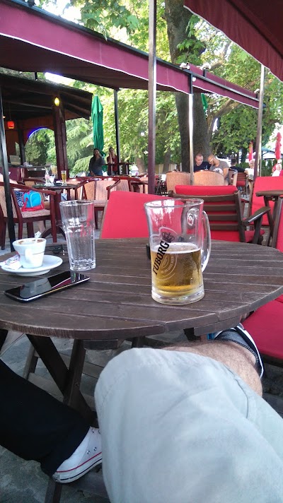 Photos of Summer Bar Galeb