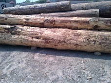 ABBASI ENTERPRISES ABBASI TIMBER rawalpindi