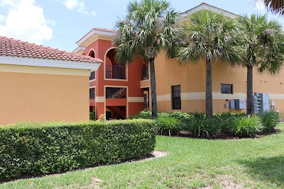Photos of Palmetto Cove LLC