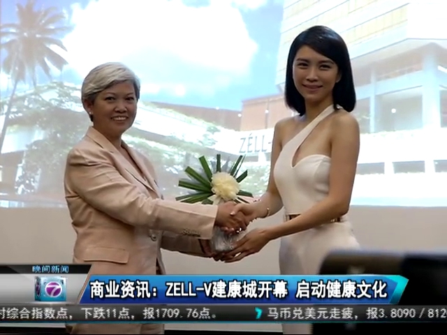 ZÉLL-V Wellness Hub by null