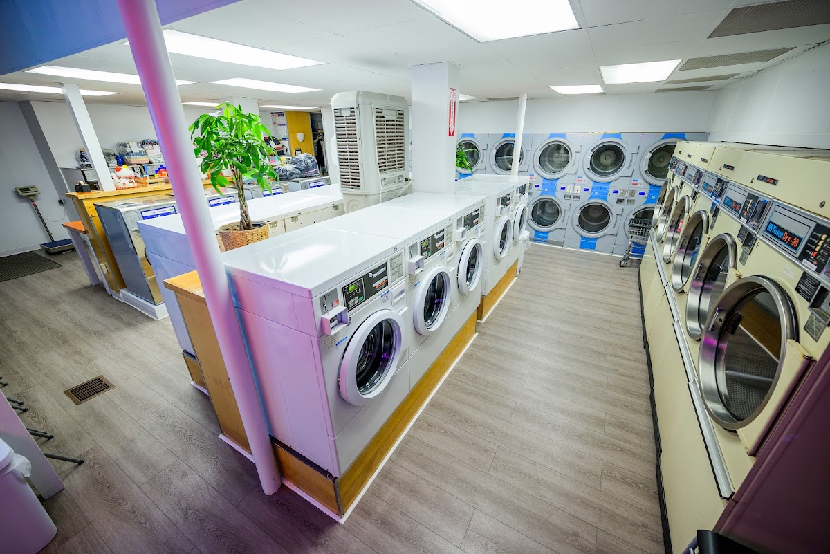 Beacon Street Laundromat facility with washing machines in Boston