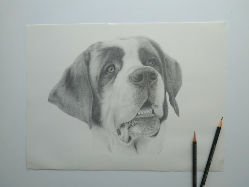 VitalVet Gallery - Spain