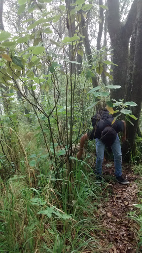 Cerro Chimalpa En Bosques De Yongua - Thumbnail