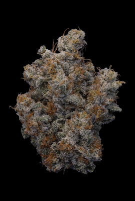 Photo of ENDO Cannabis Dispensary Santa Fe
