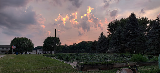 Our Family Farm