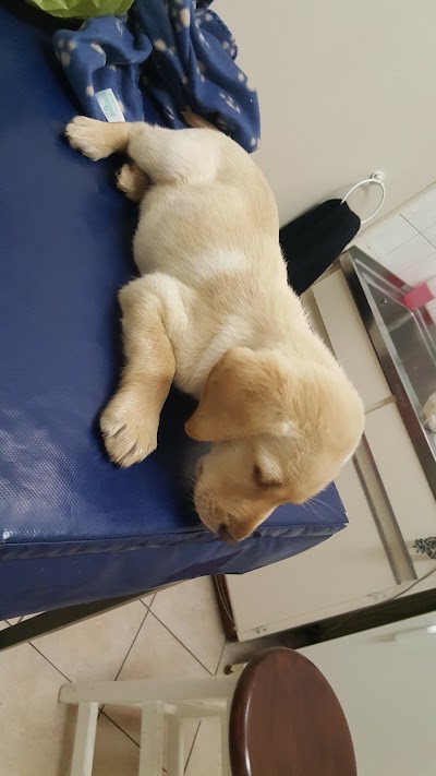 Photos of PENINSULA VETERINARY HOSPITAL