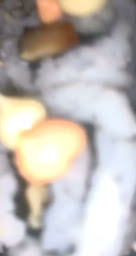 Photo n°18 de La Villa Nippone à Marseille (Restaurant de sushis)