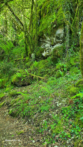 Gouffre de Hayaü - Thumbnail