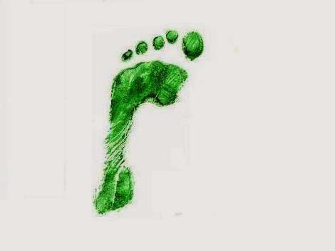 zenCo terapia i coaching