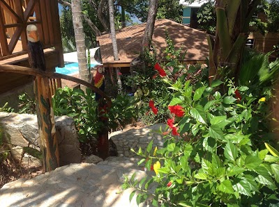 Photos of Turtle Beach Roatan Dive Resort