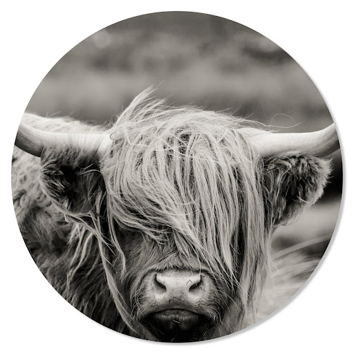 Deco @ Home - Thumbnail