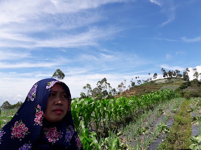 Photos of Pos 1 Shelter Gardu Pandang, Jalur Pendakian Gunung Slamet via Bambangan
